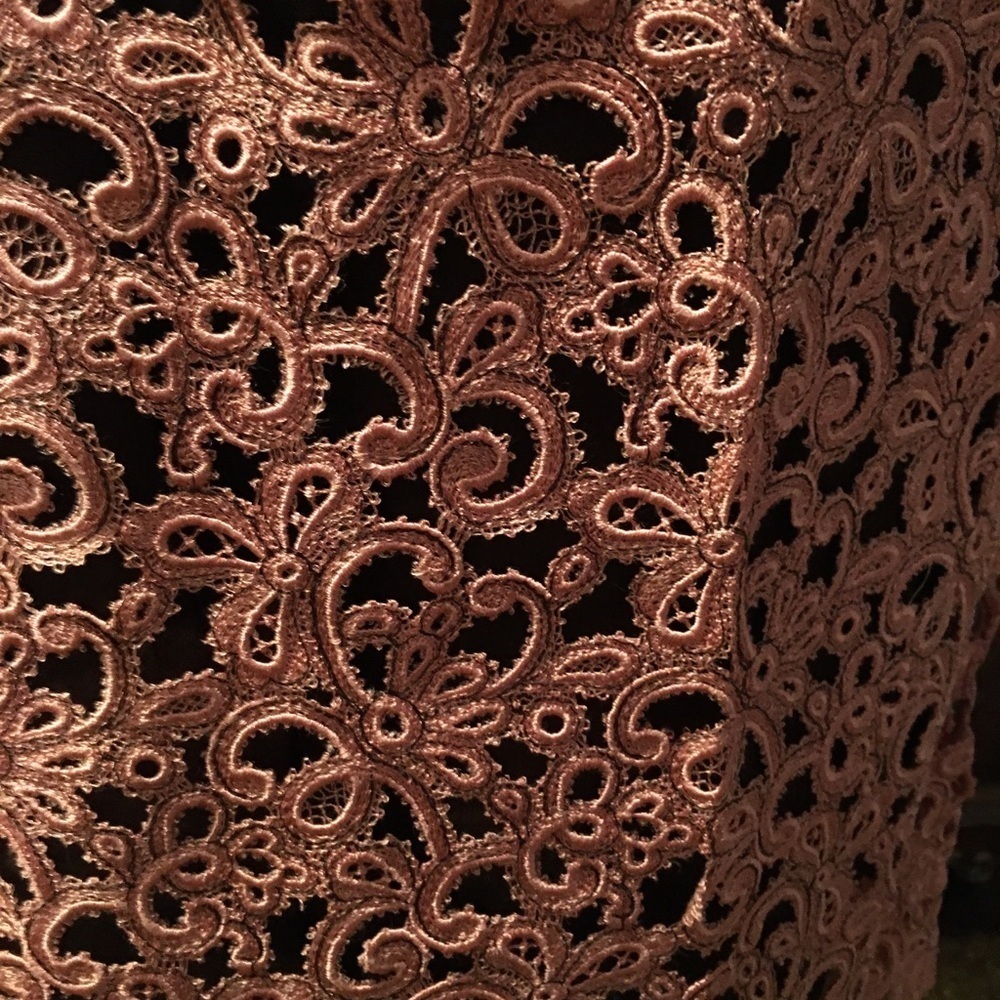 ๐ Host Pick ๐ Lela Rose Guipure Lace Skirt - Picture 3 of 9